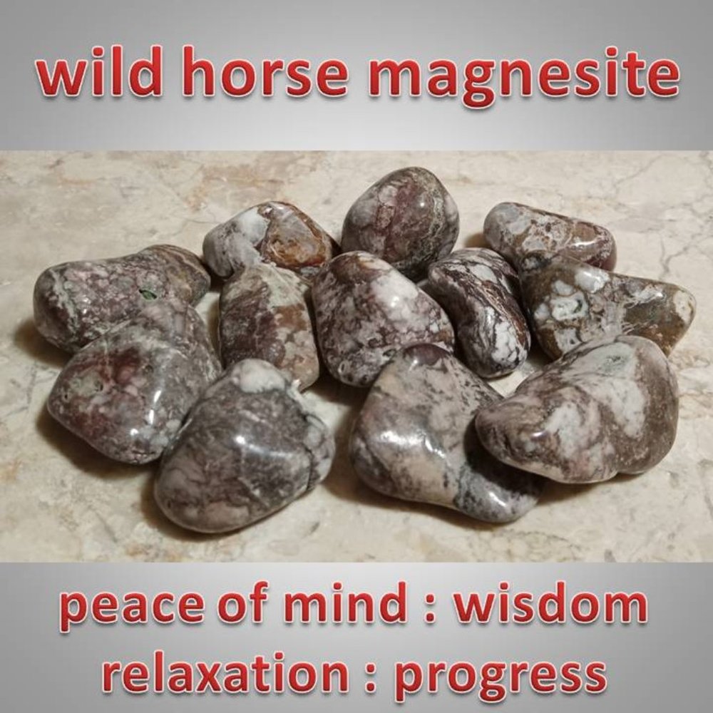 One WILD HORSE Magnesite tumbled  crystal 01 PEACE wisdom RELAXATION